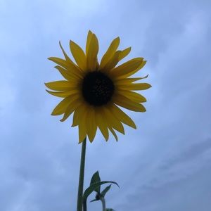 All reasonable offers considered.